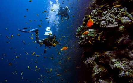 Ateny: nurkowanie i świątynia Posejdona w Sounion z odbiorem