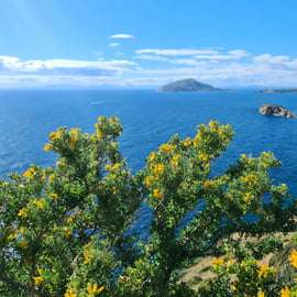 Z Aten: Świątynia Posejdona i przylądek Sounion - wycieczka z przewodnikiem